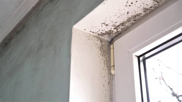 Water Damage Restoration in Delta Junction, AK