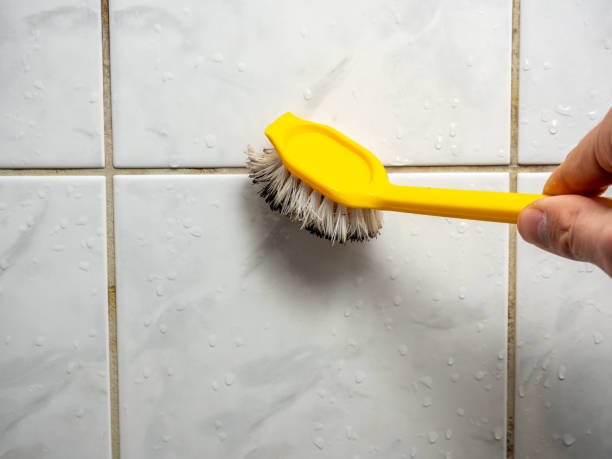 Best Fast Mold Removal  in Delta Junction, AK